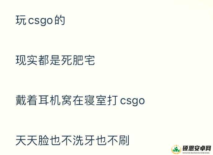 暴躁老阿姨csgo 长达一年未联系仙踪林-水友竟如此牵挂