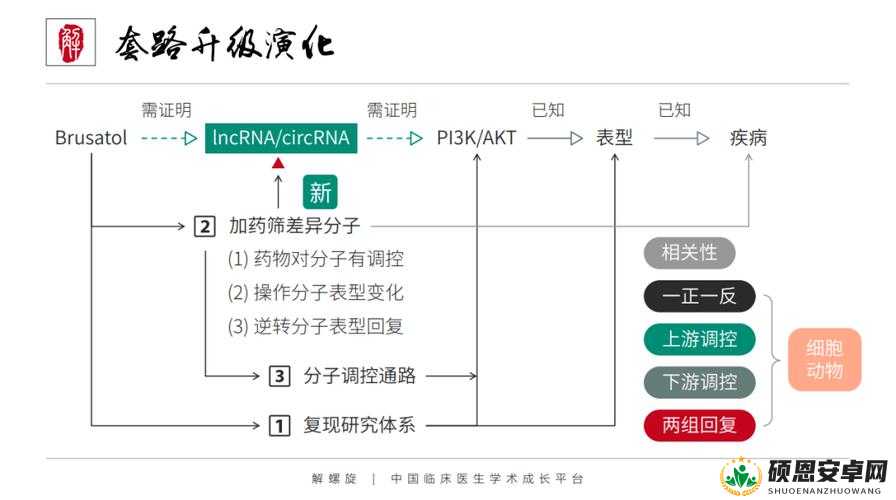 行会创建简明指南，从筹备阶段到高效管理的全方位路径解析